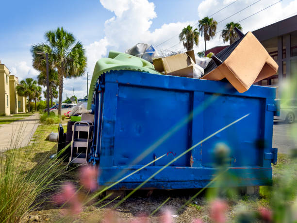 Shed Removal